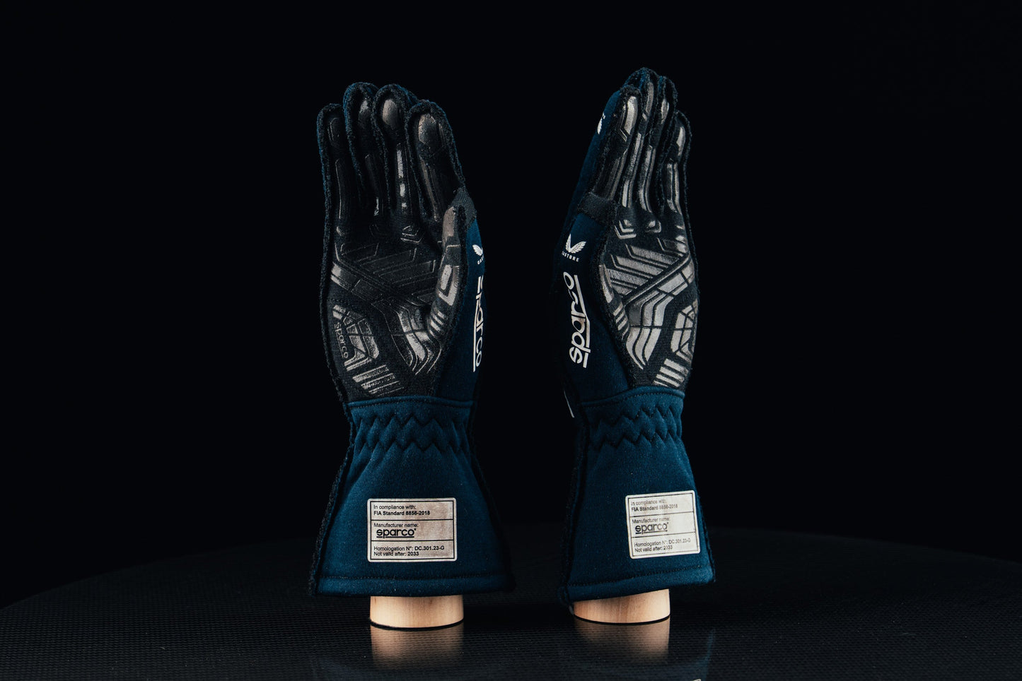 Max Verstappen 2024 Gloves